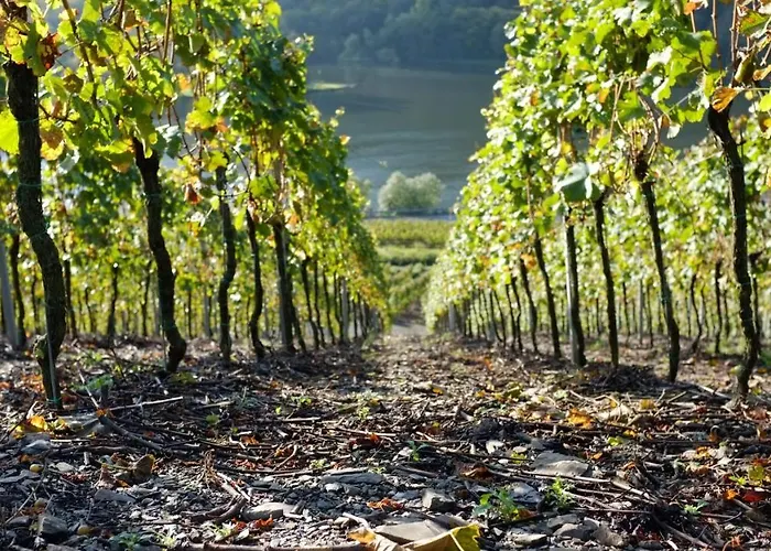 Im Bachtal شقة Pommern