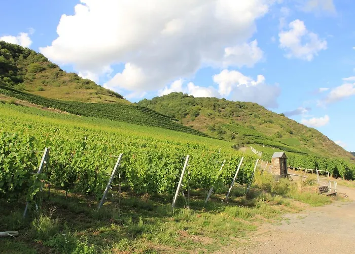 شقة Im Bachtal Pommern